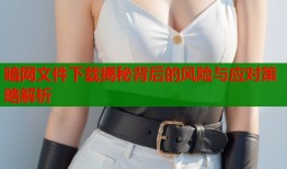 暗网文件下载揭秘背后的风险与应对策略解析