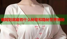 暗网到底藏着什么秘密和隐秘世界揭秘