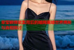 章莹颖绑架案背后的暗网黑暗世界揭秘与真相探讨