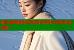 暗区禁网揭秘及其运作机制与现实影响解析