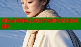 暗区禁网揭秘及其运作机制与现实影响解析