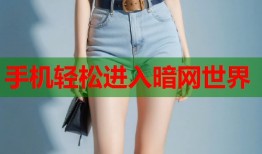 手机轻松进入暗网世界
