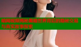 暗网视频揭秘黑暗世界背后的隐秘交易与真实故事探索