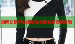 暗网交易平台揭秘安全匿名买卖新体验