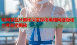 暗网禁区H揭秘深度探秘黑暗网络隐秘世界真相揭秘