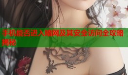 手机能否进入暗网及其安全访问全攻略揭秘