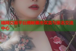 暗网交易平台揭秘黑市买卖与匿名交流中心