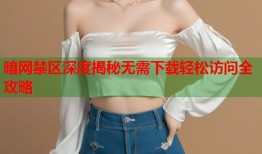 暗网禁区深度揭秘无需下载轻松访问全攻略
