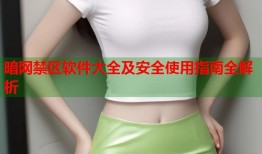 暗网禁区软件大全及安全使用指南全解析