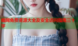 暗网免费资源大全及安全访问指南三十字