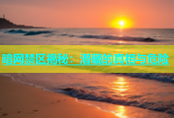 暗网禁区揭秘：潜藏的真相与危险