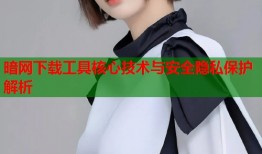 暗网下载工具核心技术与安全隐私保护解析