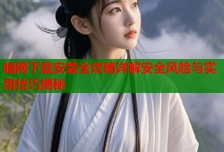 暗网下载安装全攻略详解安全风险与实用技巧揭秘
