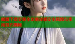 暗网下载安装全攻略详解安全风险与实用技巧揭秘