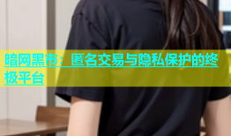 暗网黑市：匿名交易与隐私保护的终极平台
