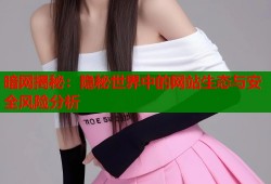 暗网揭秘：隐秘世界中的网站生态与安全风险分析
