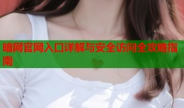 暗网官网入口详解与安全访问全攻略指南