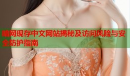 暗网现存中文网站揭秘及访问风险与安全防护指南