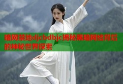 暗网禁地djcbdbjc揭秘黑暗网络背后的神秘世界探索