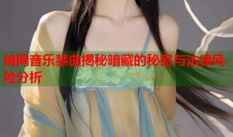 暗网音乐禁曲揭秘暗藏的秘密与法律风险分析
