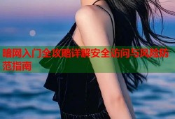 暗网入门全攻略详解安全访问与风险防范指南
