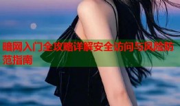 暗网入门全攻略详解安全访问与风险防范指南
