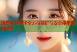 暗网资源APP全方位解析与安全使用指南揭秘