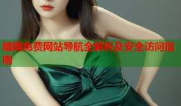 暗网免费网站导航全解析及安全访问指南