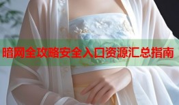 暗网全攻略安全入口资源汇总指南