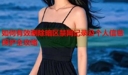 如何有效删除暗区禁网记录及个人信息保护全攻略