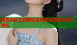 暗夜禁区在线网站全新体验攻略与战术解析