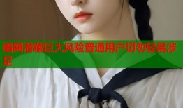 暗网潜藏巨大风险普通用户切勿轻易涉足