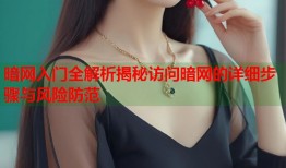 暗网入门全解析揭秘访问暗网的详细步骤与风险防范