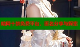 暗网十禁免费平台，匿名分享与探索