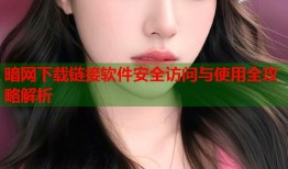 暗网下载链接软件安全访问与使用全攻略解析
