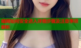 暗网如何安全进入详细步骤及注意事项解析
