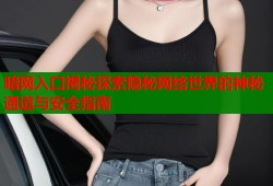 暗网入口揭秘探索隐秘网络世界的神秘通道与安全指南