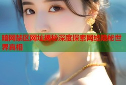 暗网禁区网址揭秘深度探索网络隐秘世界真相