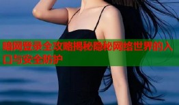 暗网登录全攻略揭秘隐秘网络世界的入口与安全防护
