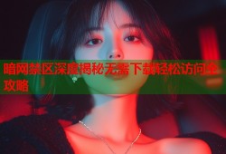暗网禁区深度揭秘无需下载轻松访问全攻略