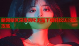 暗网禁区深度揭秘无需下载轻松访问全攻略