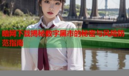暗网下载揭秘数字黑市的秘密与风险防范指南