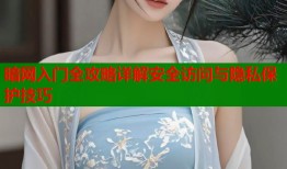 暗网入门全攻略详解安全访问与隐私保护技巧