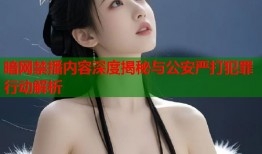 暗网禁播内容深度揭秘与公安严打犯罪行动解析