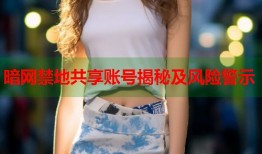 暗网禁地共享账号揭秘及风险警示