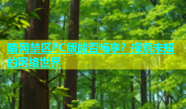 暗网禁区PC版能否畅享？探索未知的网络世界