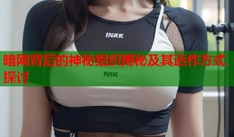 暗网背后的神秘组织揭秘及其运作方式探讨