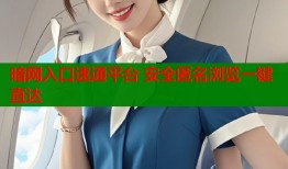 暗网入口速通平台 安全匿名浏览一键直达