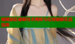 暗网禁区破解技术揭秘与在线破解实战指南