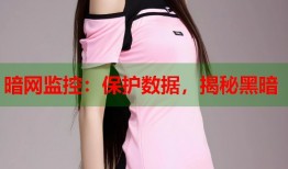 暗网监控：保护数据，揭秘黑暗
